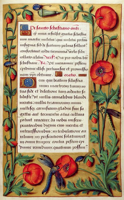 Přidat 18855 f.103 Poppies and dragonfly, from Book of Hours, c.1540 (vellum) od Simon Bening