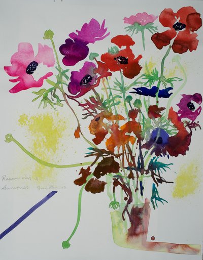 Ranunculus  anemones, 2010 (akvarel) od Simon Fletcher