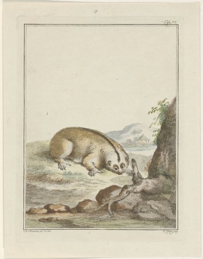 Lenochod od Simon Fokke