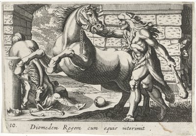 Hercules temt de paarden van Diomedes Diomedes král s koňmi (titul na předmětu) Herkulische theme