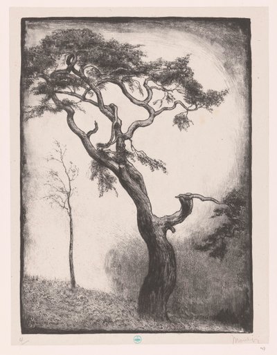 borovice od Simon Moulijn (signed by artist)