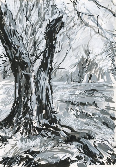 Starý strom, Richmond Park (akrylová barva a tuš na papíře) od Simon Neville