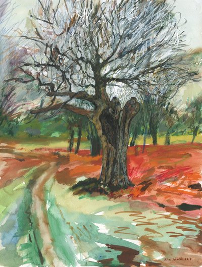 Starý strom, Richmond Park, 2019 (akvarelová tužka a akrylová barva na papíře) od Simon Neville