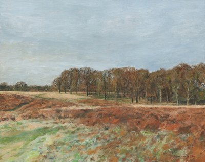 Richmond Park, 2019 (olej na plátně) od Simon Neville