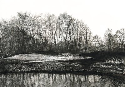 Porost bříz, pláž Burying Hill (tuš na papíře) od Simon Neville