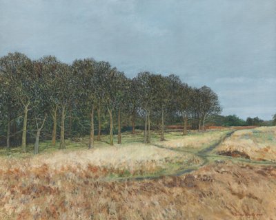 Les, Richmond Park, 2019 (olej na plátně) od Simon Neville