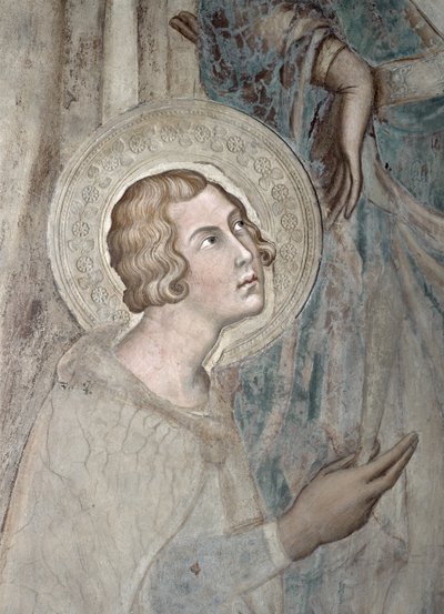 Maesta: St. Ansanus, 1315 (detail 51591) od Simone Martini