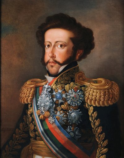 Portrét D. Pedra I. od Simplicio Rodrigues de Sa