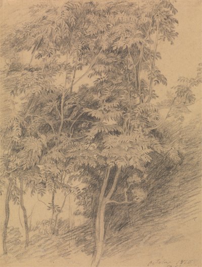 Stromová studie od Sir David Wilkie