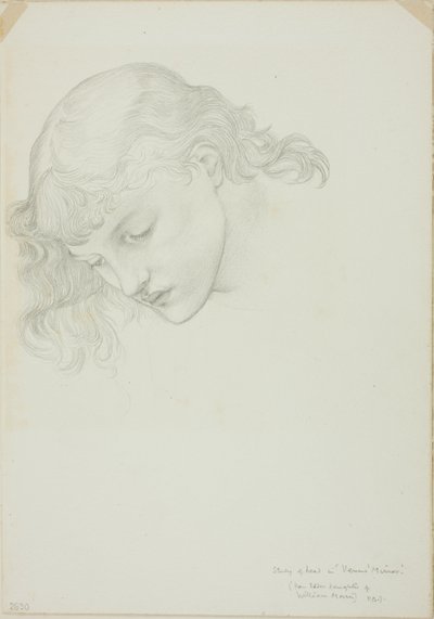 Vedoucí, studie pro Mirror of Venus od Sir Edward Burne Jones