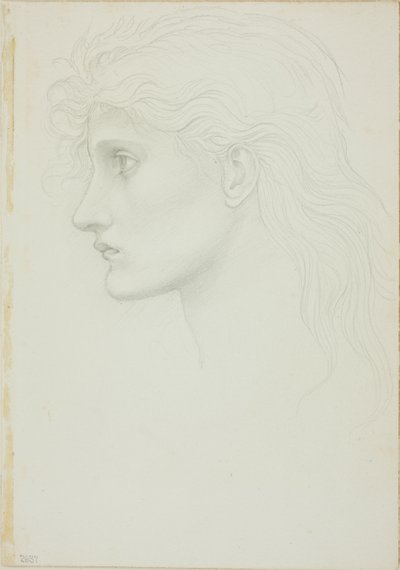 Hlava dívky čelem doleva od Sir Edward Burne Jones