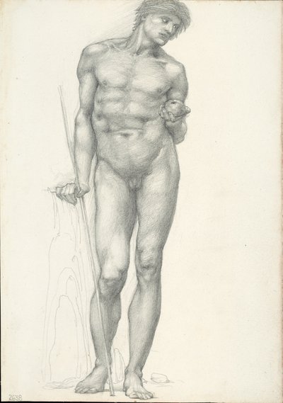 Paříž se zlatým jablkem v levé ruce, pro trojský triptych (skicář #2638) od Sir Edward Burne Jones
