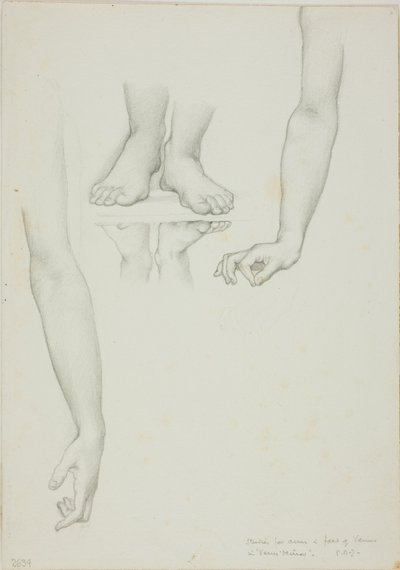 Studie pro Mirror of Venus: Arms and Feet of Venus od Sir Edward Burne Jones