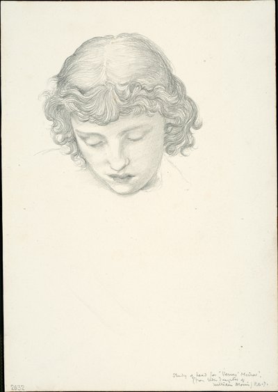 Studie pro Mirror of Venus: Head od Sir Edward Burne Jones