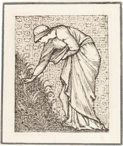 Dáma trhá květiny od Sir Edward Coley Burne Jones