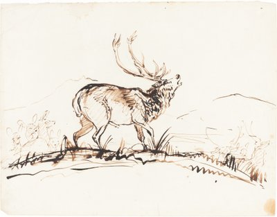 Řvoucí jelen od Sir Edwin Landseer
