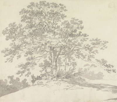 Strom od Sir George Howland Beaumont seventh Baronet