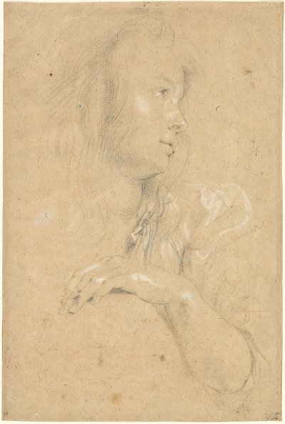 Mladá žena v profilu od Sir Peter Paul Rubens
