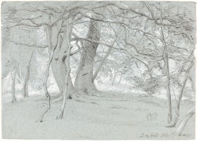 Stromy na Box Hill od Sir William Blake Richmond