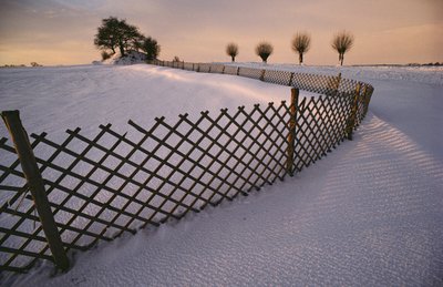 Vikingský hrob na sněhu u Elverhoeje, Dánsko, v zimě na sněhu., 2022 (foto) od Sisse Brimberg