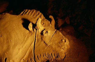 Detail zubra vytvarovaného z hlíny před přibližně 14 000 lety z jeskyně Tuc d