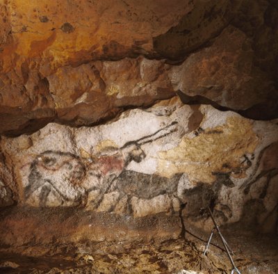 Bájný jednorožec z Lascaux namalovaný před více než 17 000 lety lemuje bílý kalcitový... od Sisse Brimberg