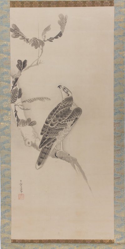 Hawks Taka zu, polovina 17. století. od Soga Nichokuan