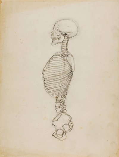 Anatomie od Solon H. Borglum