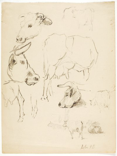 Krávy od Solon H. Borglum
