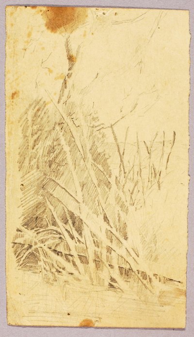 Listí od Solon H. Borglum