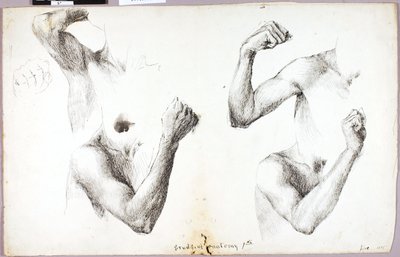 Studie čtyř paží, #1 od Solon H. Borglum