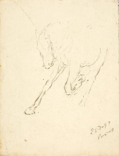 Koně od Solon H. Borglum