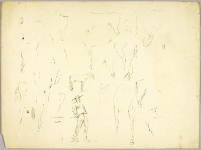 Studie koní od Solon H. Borglum