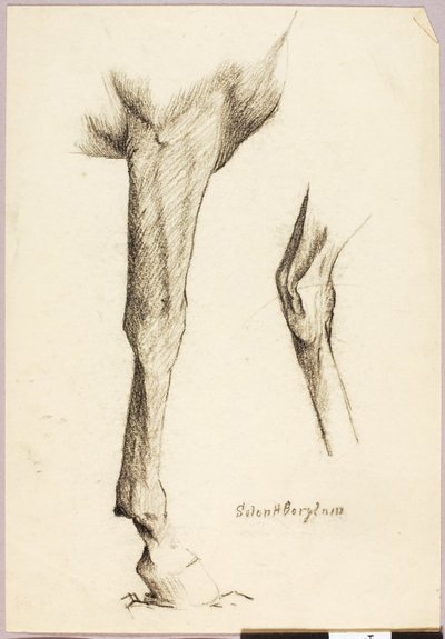 Studie koní od Solon H. Borglum