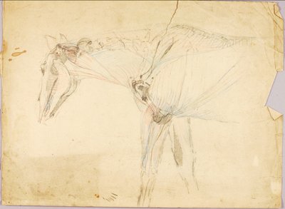 Studie koní od Solon H. Borglum