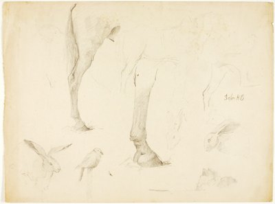 Studie koní a králíků od Solon H. Borglum