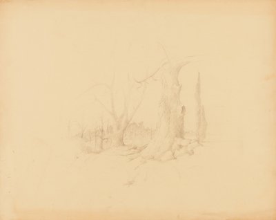 Krajina od Solon H. Borglum