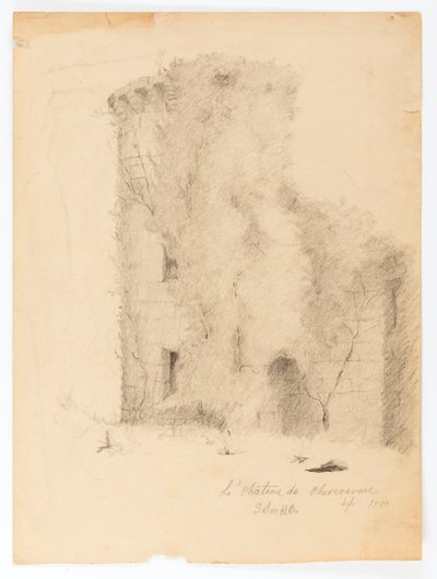 Le Chateau de Chevenevase od Solon H. Borglum