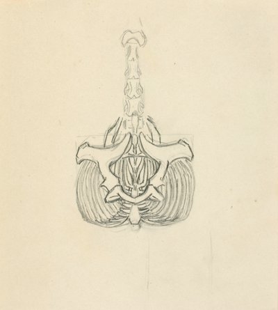 Pánev od Solon H. Borglum