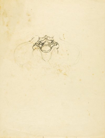 Pánev od Solon H. Borglum