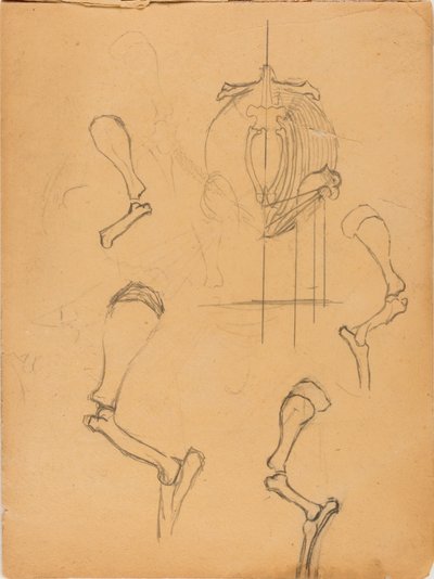 Skicář od Solon H. Borglum