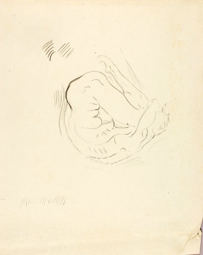 Plavec od Solon H. Borglum