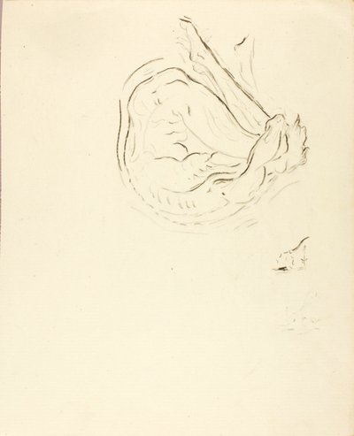 Plavec od Solon H. Borglum