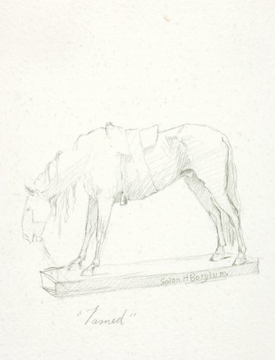 Zkrocený od Solon H. Borglum