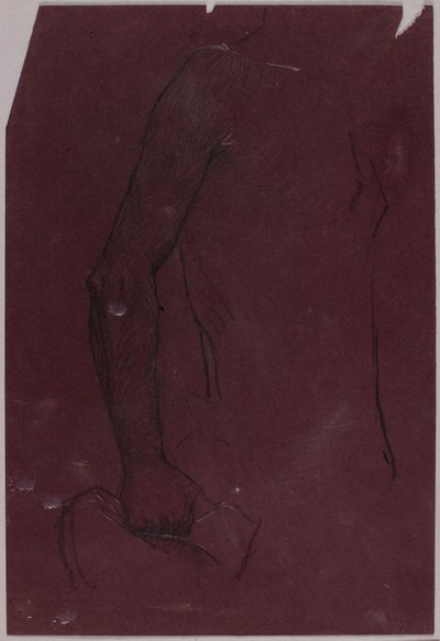 Torzo, studie pro jezdecký pomník od Solon H. Borglum