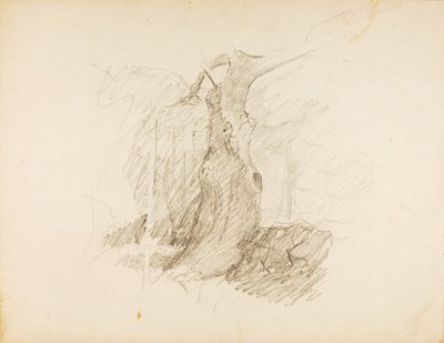 Bez názvu od Solon H. Borglum
