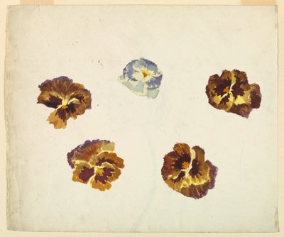 Že jo od Sophia L. Crownfield