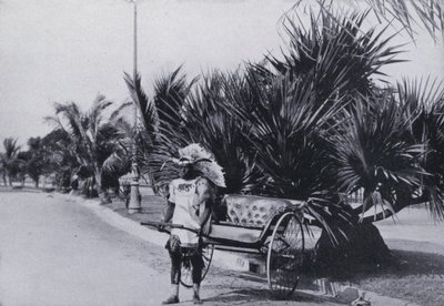 Bay Esplanade, Durban, ukazuje rikša (a / nebo fotografie) od South African Photographer