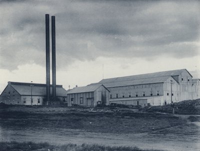 Baterie Crown Reef Gold Mining Company, exteriér (černobílá fotografie) od South African Photographer