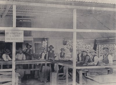 Třídění diamantů, důl Wesselton (černobílá fotografie) od South African Photographer